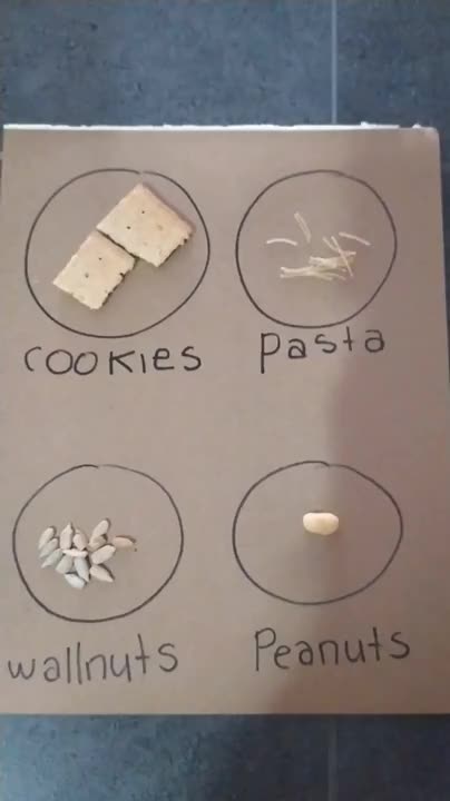 LIPIDS TEST 