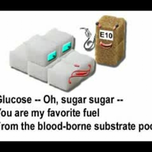 Glucose Song