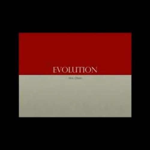 Evolution Review