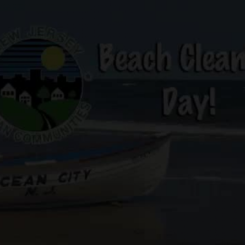 Beach Cleanup