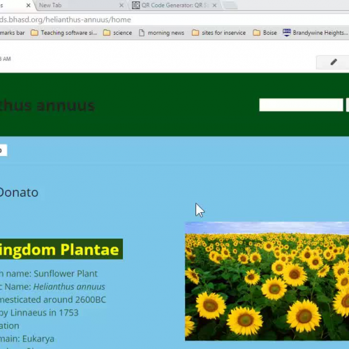 Using Google Sites 