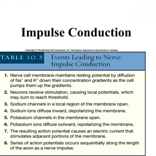 Impulse conduction