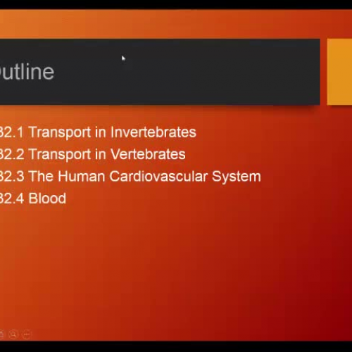 Chapter 32 Cardiovascular system