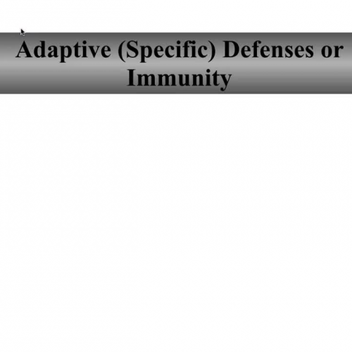 Specific defenses part 1