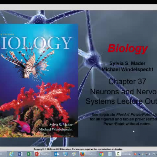 Chapter 37 Part I Nervous system