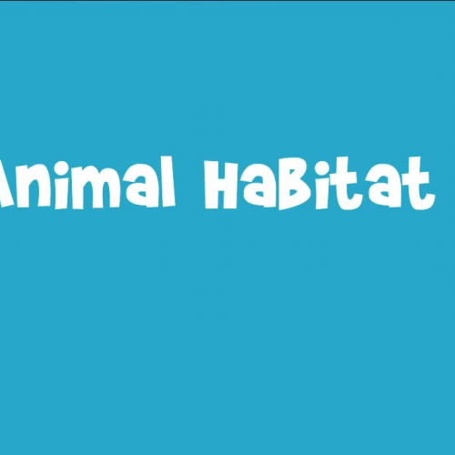 Animal Habitats