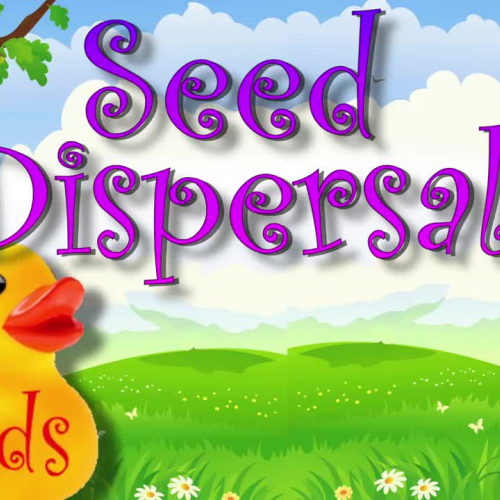 Seed Song - How Seeds Move - Seed Dispersal